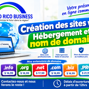 création web avec congo rico business
